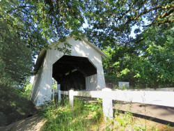 irish bend