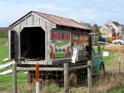 alabama truck