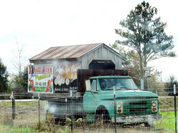 alabama truck