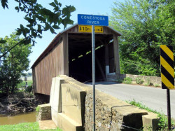 bitzer mill