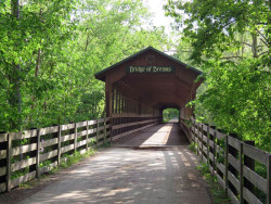 bridge of dreams