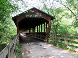 bridge of dreams