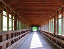 bridge of dreams