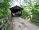 bridge of dreams