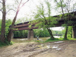 bridge of dreams
