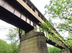 bridge of dreams
