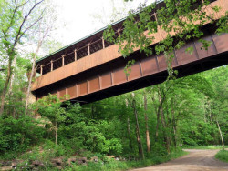 bridge of dreams