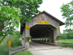 caine road