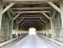 caine road