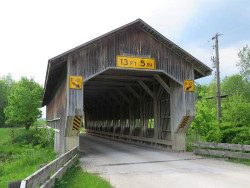 caine road