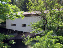 cavitts creek