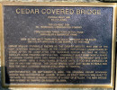 cedar