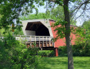 cedar