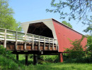 cedar