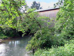 chambers