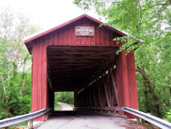 charleston mill