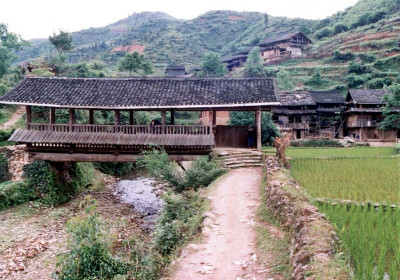 Chengyang #11
