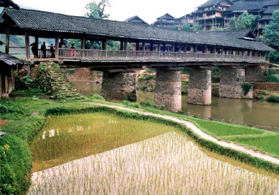 Chengyang #12