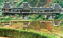 china bridge
