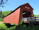 chitwood