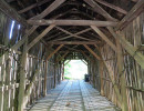 davis farm
