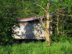 davis farm