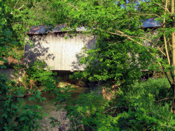 davis farm