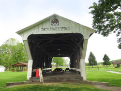 dixon branch