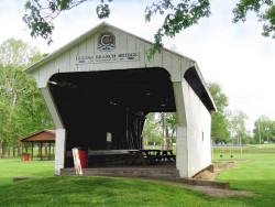 dixon branch