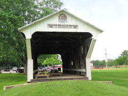 dixon branch