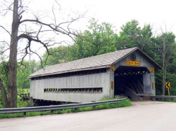 doyle road
