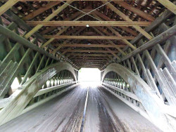 doyle road