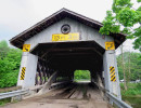 doyle road