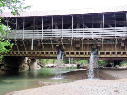duck creek