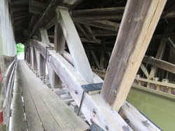 duck creek