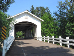 larwood
