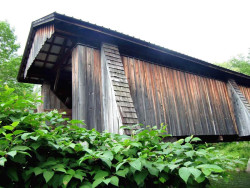 livingston
