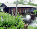 livingston