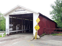 mansfield