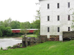 mansfield