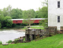 mansfield
