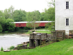 mansfield