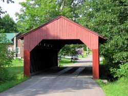 maple street
