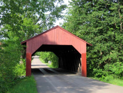maple street