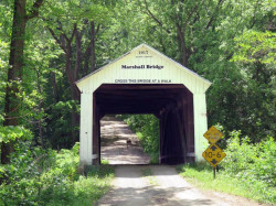 marshall
