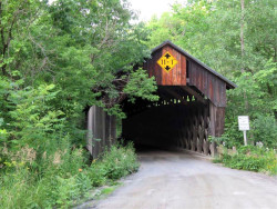 martins mill