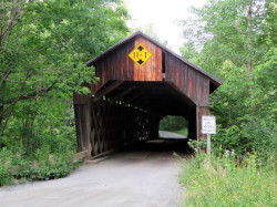 martins mill