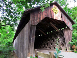 martins mill
