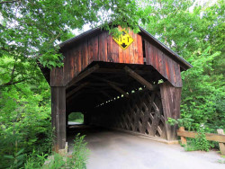 martins mill