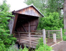 mccleery
